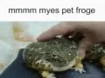 Froge