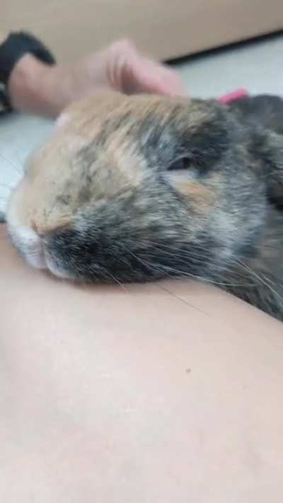 Bun Moments ♥️