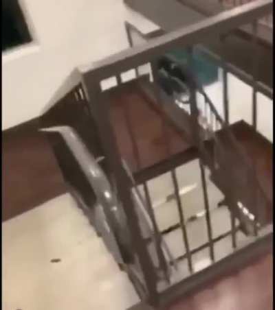 Trying to be all fantastic on something risky and well...