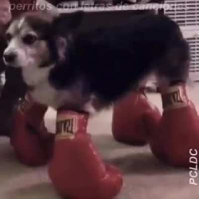 :(