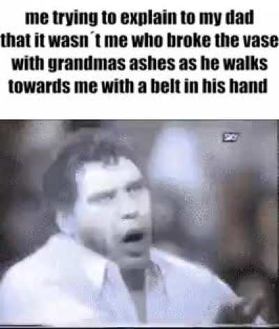 it was the cat, really!