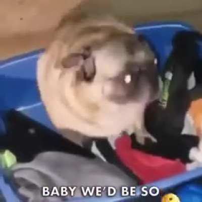 Does someone remembers this song?