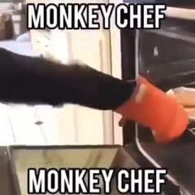 monke chief
