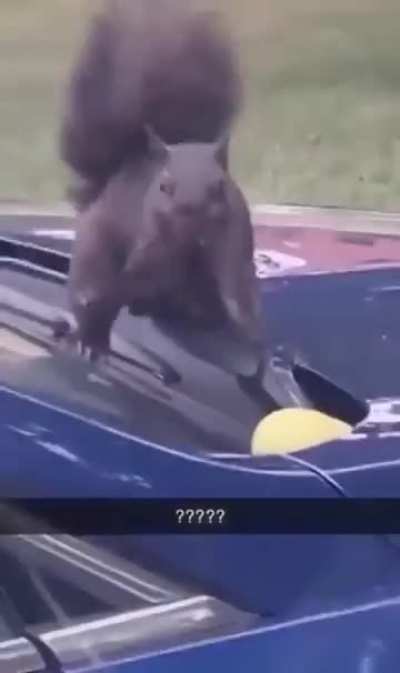 ?????