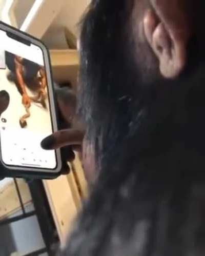 ape using a smartphone