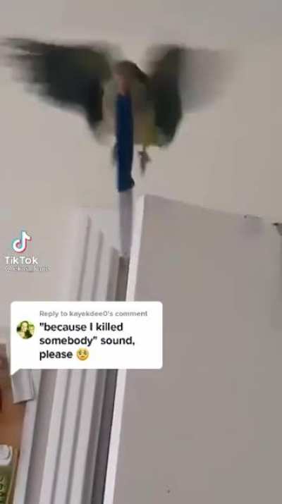 The chances of being killed by a parrot is low, but never zero