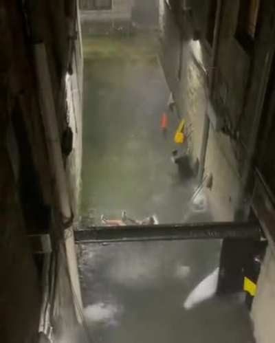 This dude just straight up chilling in the NYC floods