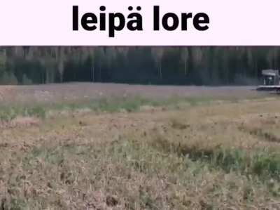 minä🍞irl