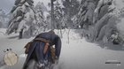 trying to reason with a bear