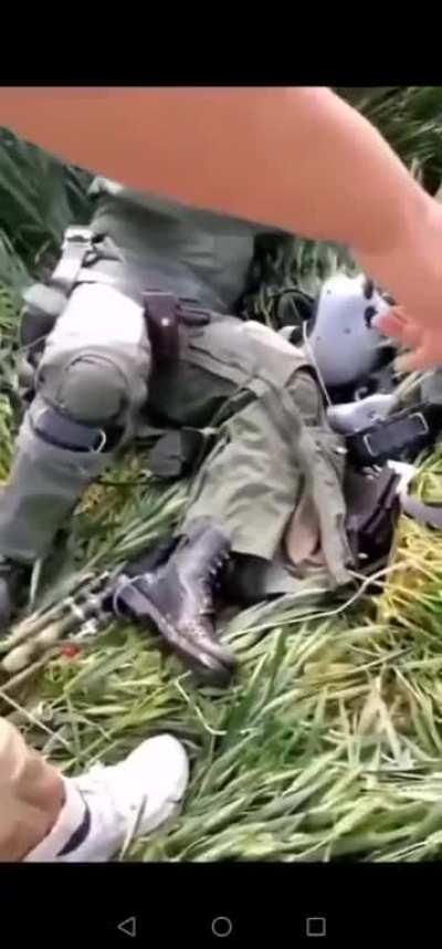 河南老乡看到有外籍飞行员跳伞，以为抓到了大鱼