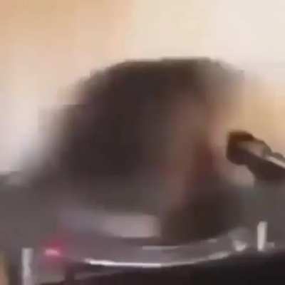 Kit-n-spin