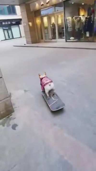 This video of a mad lad just skating around town made me smile!