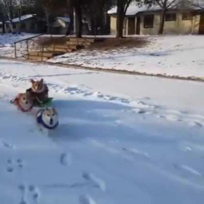 CHOO CHOOO