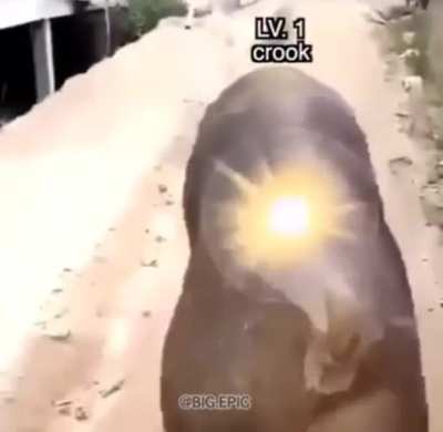 B A L L S