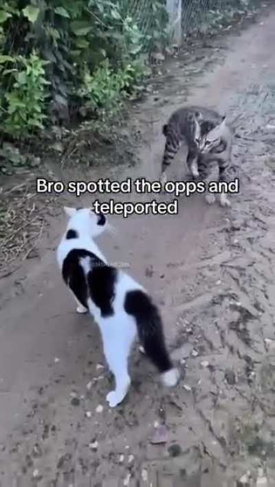On sight
