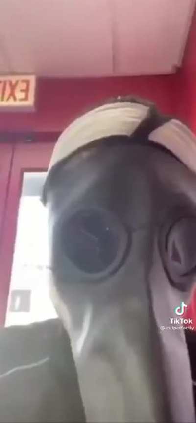 It said wear a mask