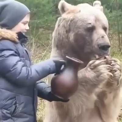 papa bear approves