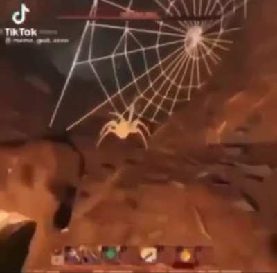 SpiderGoPoof