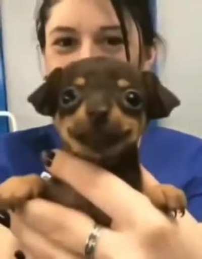 �