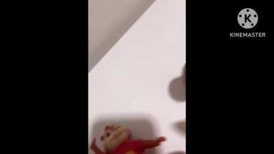 Dreamybull bait 