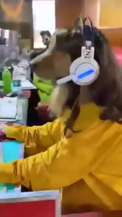 Gamer 