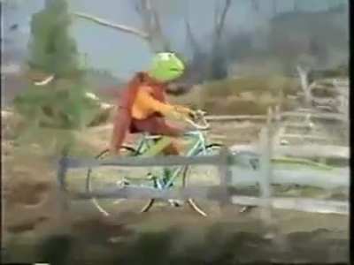 Kermit busted his A55