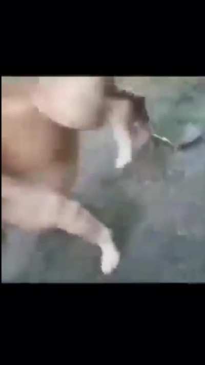 Cesar que hiciste?