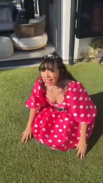 New TikTok videos