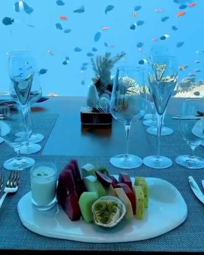 Underwater breakfast in the Maldives