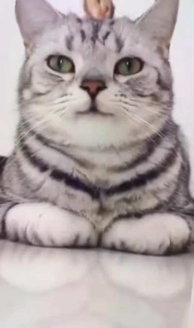 🙂
