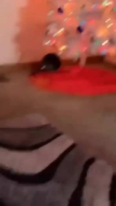 mega sus