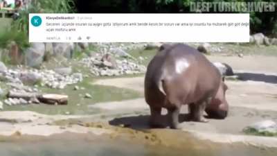 Her gün bir deep turkish web video serisi #28.Gün
