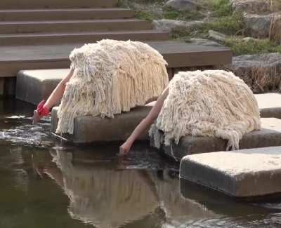 Some unidentified flightless birds found having a drink at the local park