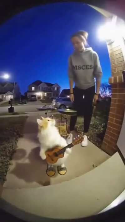 Im impressed
