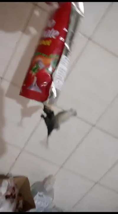 Quando o molho de tomate ja vem com cogumelos