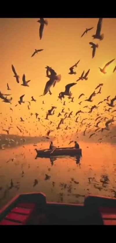 India in all it's glory! Video by @nirmal_kharayat on IG.