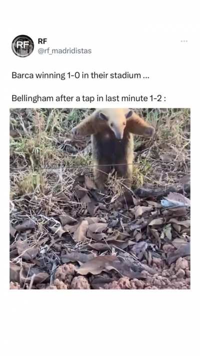That's Mr. Tapingham to you. 