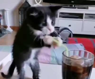 to drink