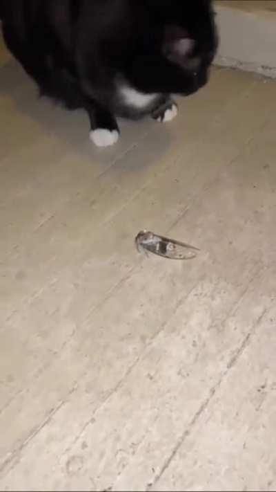 Let me just touch it