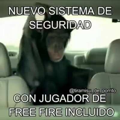 Xd