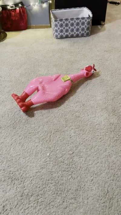 Put it out of its misery.