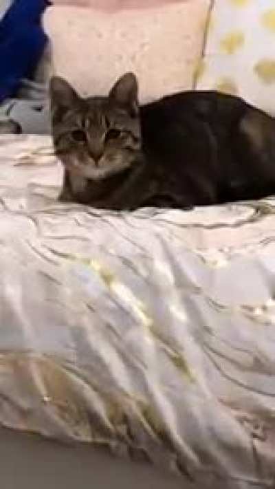 You want food??