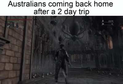 they turned spiders from baldborne into a real thing