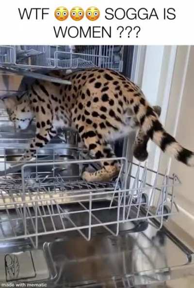 SOGGA DISHWASHER ?? 😲😲😲 HOW ???