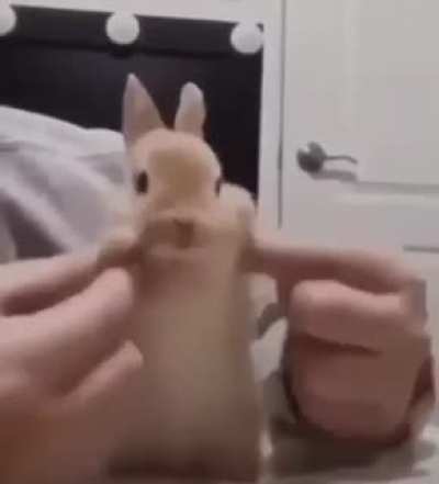 weeeeee