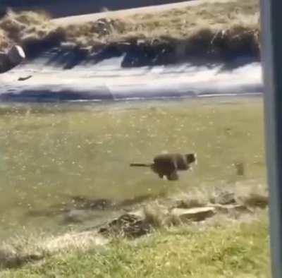 Almost glass