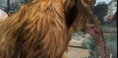 Pet pet pet pet pet