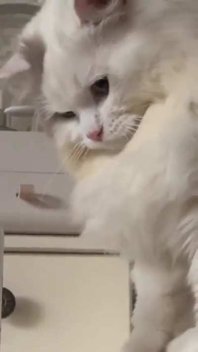 Maybe maybe maybe