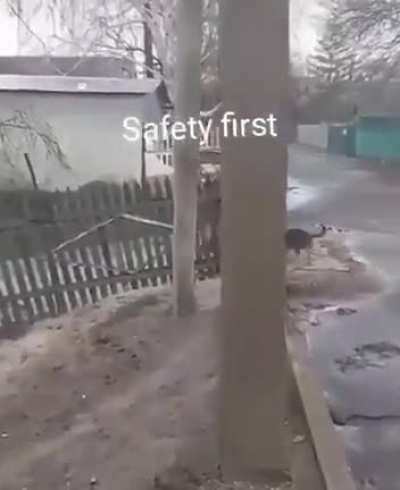 Safety First
