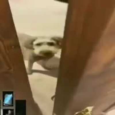 Luangameplay666 - Video #3645